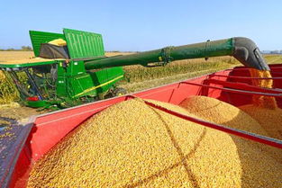 世界糧食日 糧食加工背后，那些被忽視的農(nóng)機故事