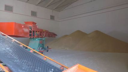 洋浦國際糧油物流加工產(chǎn)業(yè)園加快建設(shè)，賦能糧食加工產(chǎn)業(yè)升級